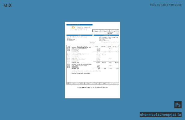 USA Sentara Pratt Medical Group – Beispiel einer Rechnungsstellung (Vorschau)